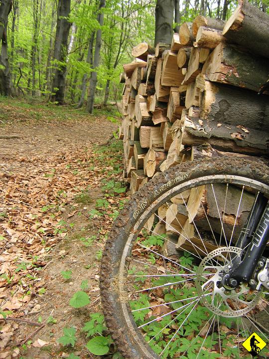 Kopia fot 054.jpg - Gdy dotarłem do lasu, było już 2:1. Ja przeciw 28T z tyłu na 1ce i duuużo błota.